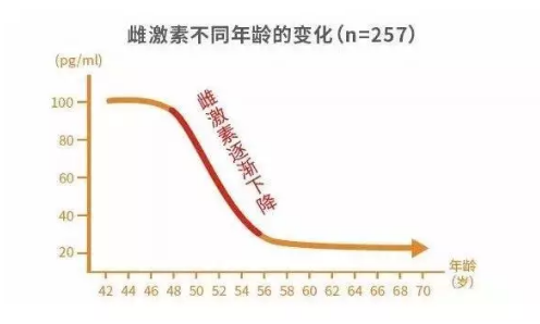 盆底肌检测